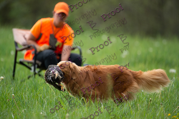 ReedsRescuebyBSPhotography-1701