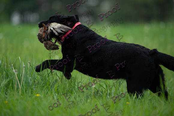 ReedsRescuebyBSPhotography-0795