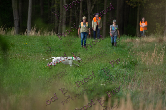 ReedsRescuebyBSPhotography-2341