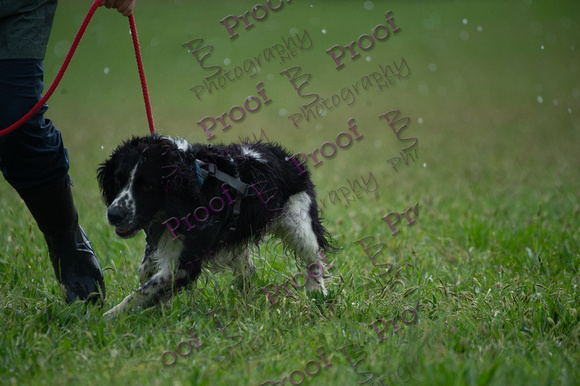 ReedsRescuebyBSPhotography-2551
