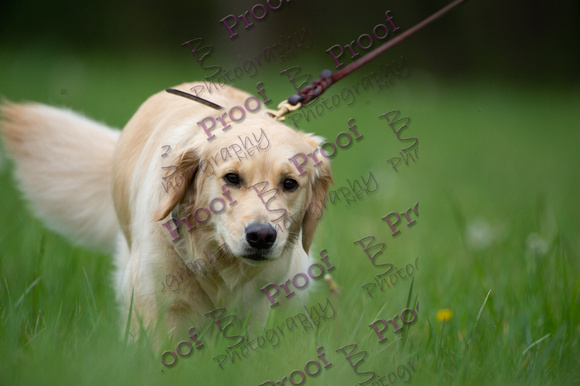 ReedsRescuebyBSPhotography-0458