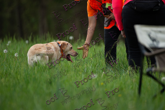 ReedsRescuebyBSPhotography-0979