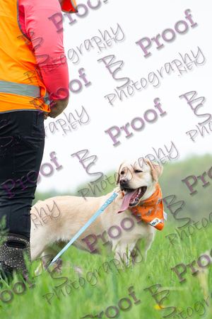 ReedsRescuebyBSPhotography-9894