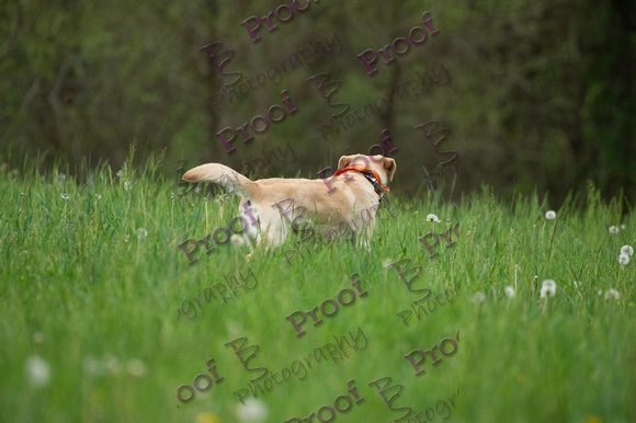 ReedsRescuebyBSPhotography-0833