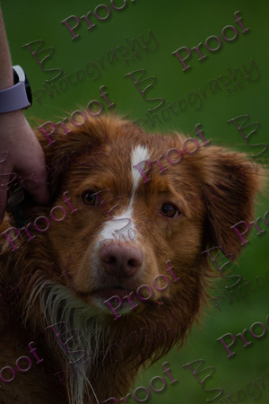 ReedsRescuebyBSPhotography-2995