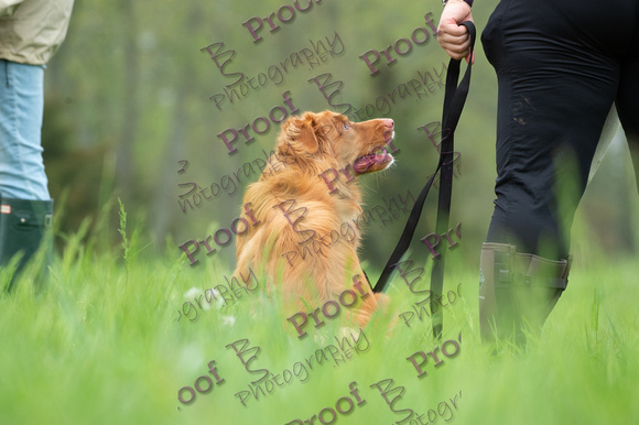 ReedsRescuebyBSPhotography-9961
