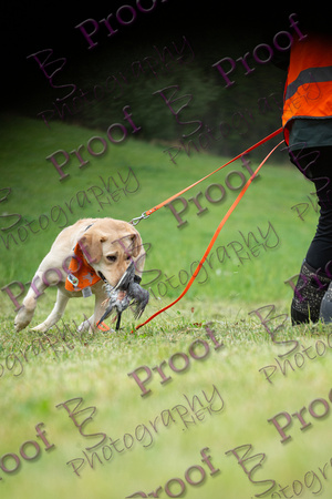 ReedsRescuebyBSPhotography-9839