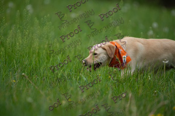 ReedsRescuebyBSPhotography-0881