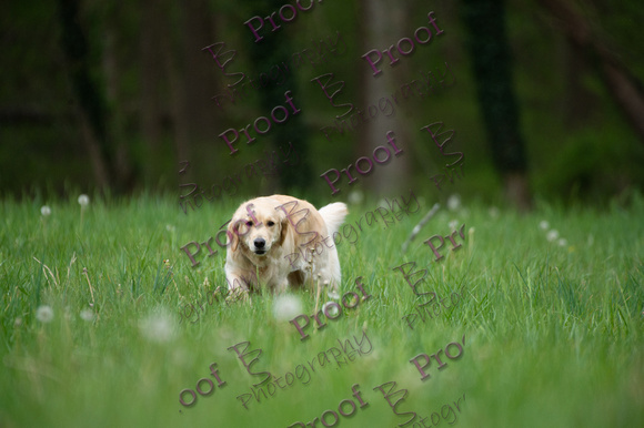 ReedsRescuebyBSPhotography-0436