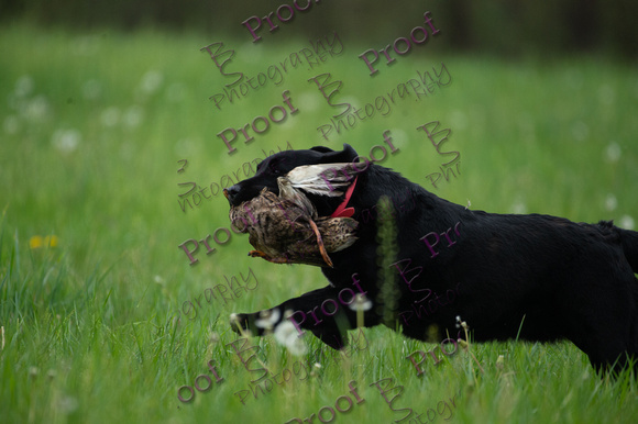ReedsRescuebyBSPhotography-0783