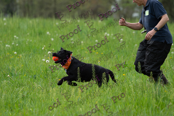 ReedsRescuebyBSPhotography-1318