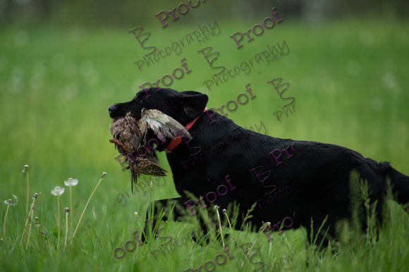 ReedsRescuebyBSPhotography-0791