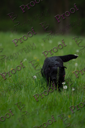 ReedsRescuebyBSPhotography-0708
