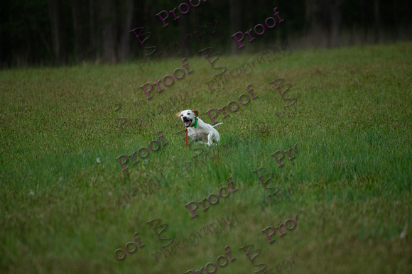ReedsRescuebyBSPhotography-2308