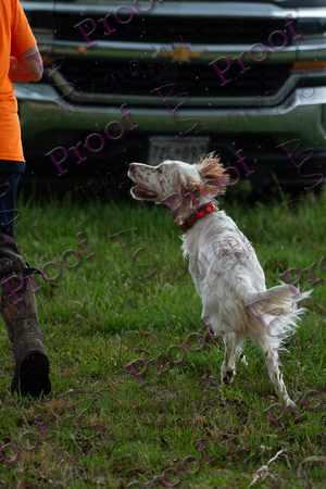 ReedsRescuebyBSPhotography-2404