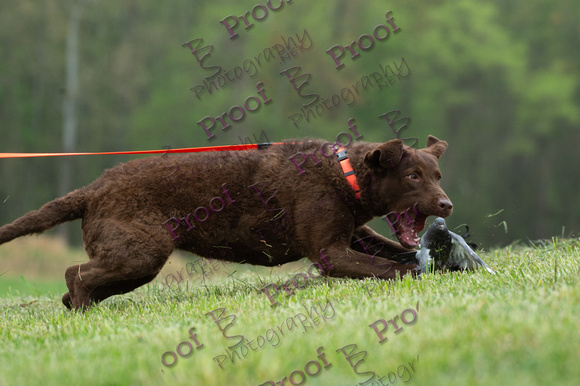 ReedsRescuebyBSPhotography-9717