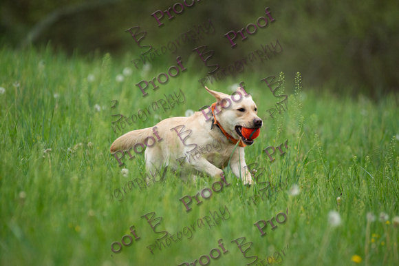 ReedsRescuebyBSPhotography-0854