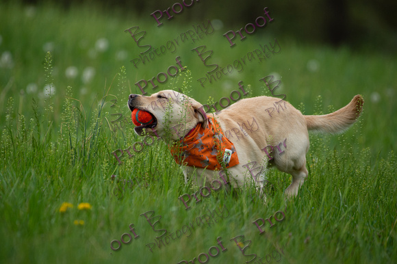 ReedsRescuebyBSPhotography-0893