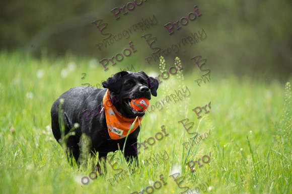 ReedsRescuebyBSPhotography-1423