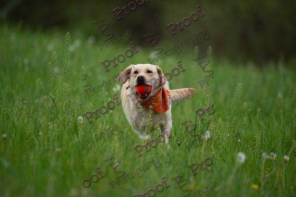 ReedsRescuebyBSPhotography-0890