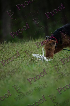 ReedsRescuebyBSPhotography-2525