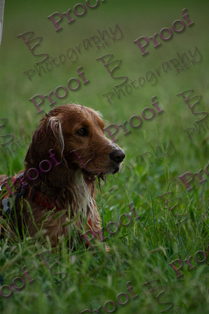 ReedsRescuebyBSPhotography-2516