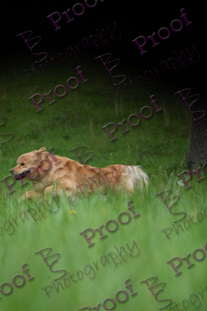 ReedsRescuebyBSPhotography-0479