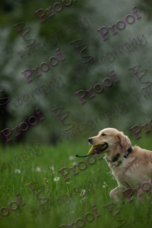 ReedsRescuebyBSPhotography-1260