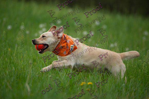 ReedsRescuebyBSPhotography-0895