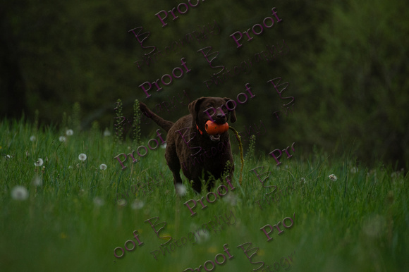 ReedsRescuebyBSPhotography-0645