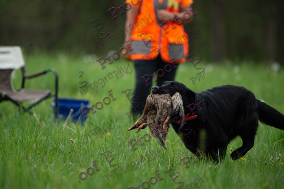 ReedsRescuebyBSPhotography-0781