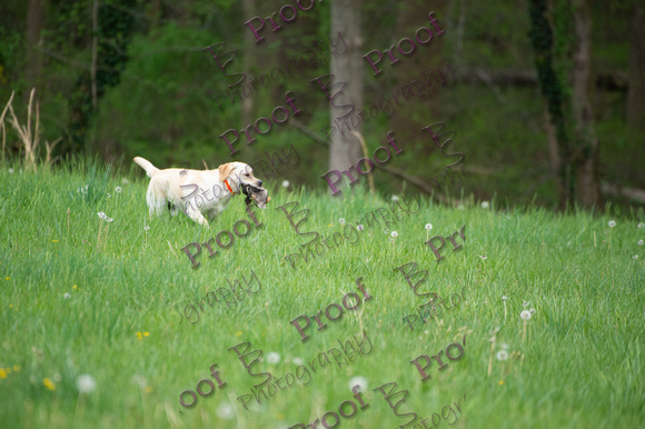 ReedsRescuebyBSPhotography-0375