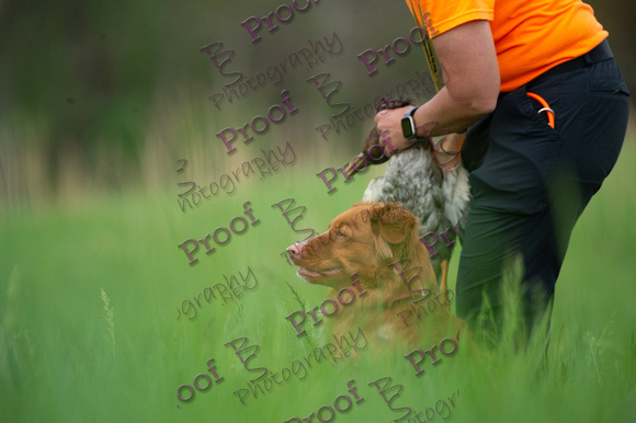 ReedsRescuebyBSPhotography-0115