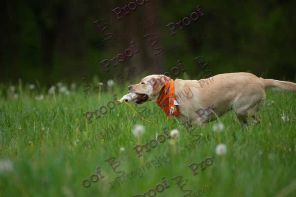 ReedsRescuebyBSPhotography-0965