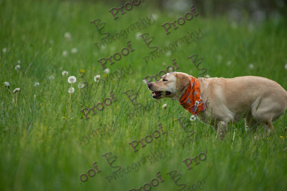 ReedsRescuebyBSPhotography-0923