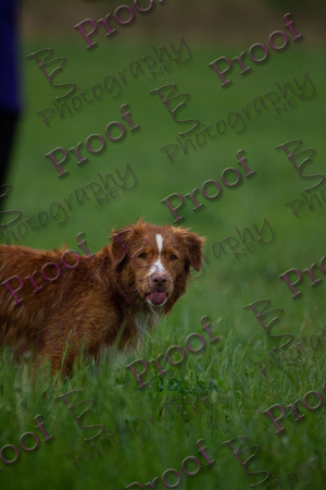 ReedsRescuebyBSPhotography-2913