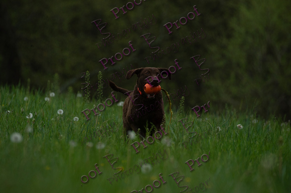 ReedsRescuebyBSPhotography-0646