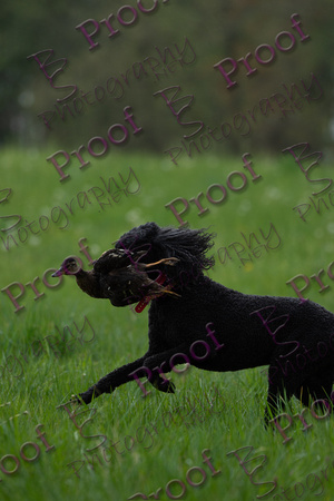 ReedsRescuebyBSPhotography-2012