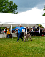 Saturday Rescue Parade Candids and Group Photo