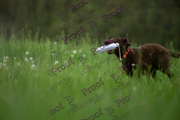 ReedsRescuebyBSPhotography-0696