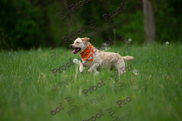 ReedsRescuebyBSPhotography-0950