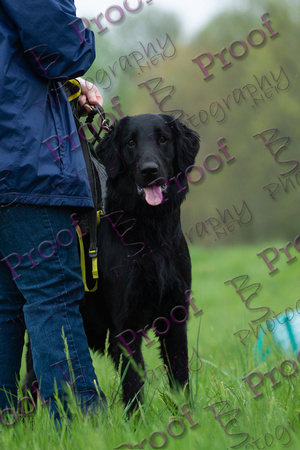 ReedsRescuebyBSPhotography-9653