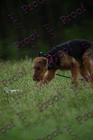 ReedsRescuebyBSPhotography-2522