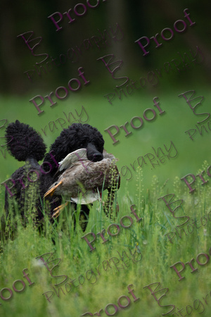 ReedsRescuebyBSPhotography-0262