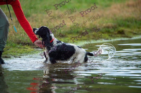 ReedsRescuebyBSPhotography-2462