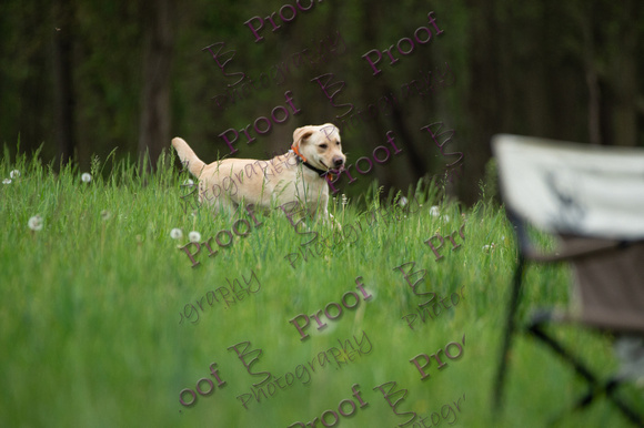 ReedsRescuebyBSPhotography-0835