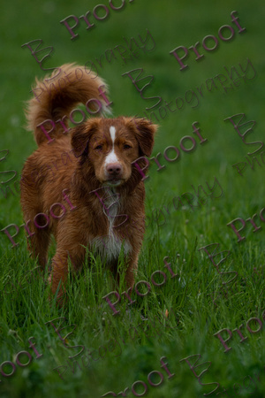 ReedsRescuebyBSPhotography-2957