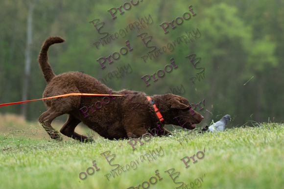 ReedsRescuebyBSPhotography-9696
