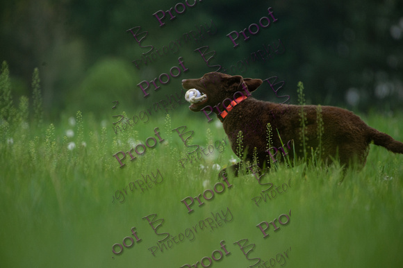 ReedsRescuebyBSPhotography-0701