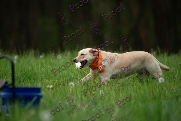ReedsRescuebyBSPhotography-0975